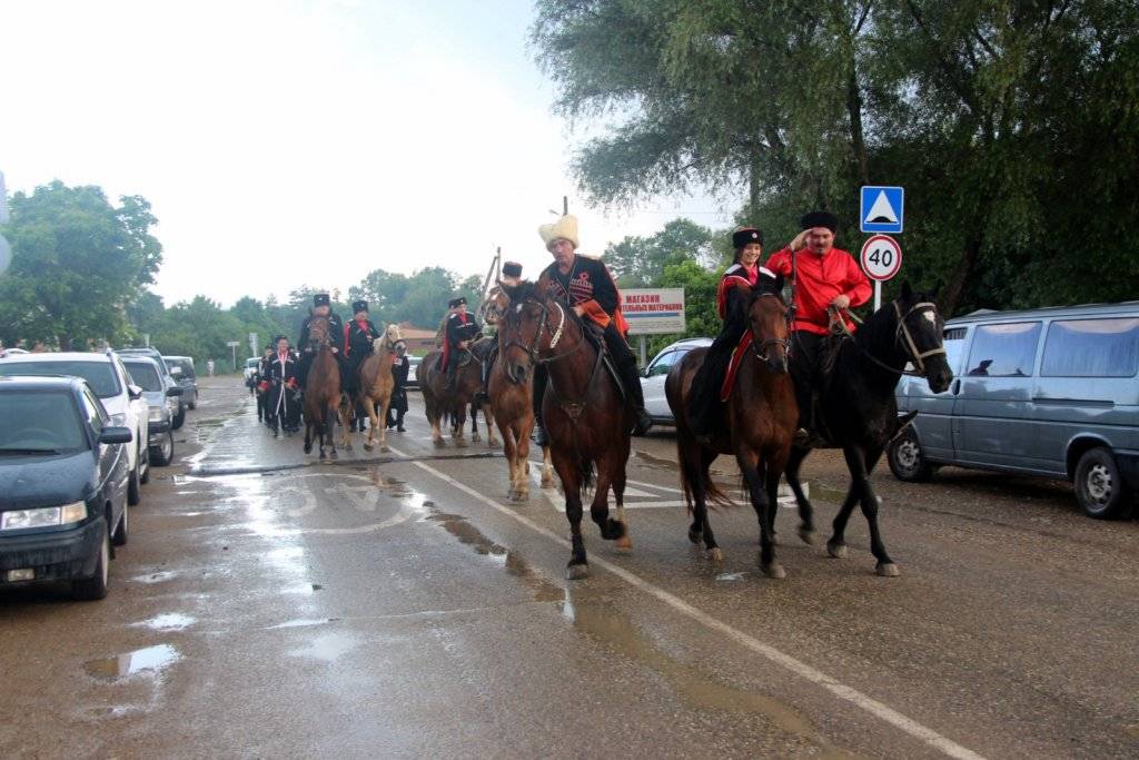 Сегодня в северской краснодарского края